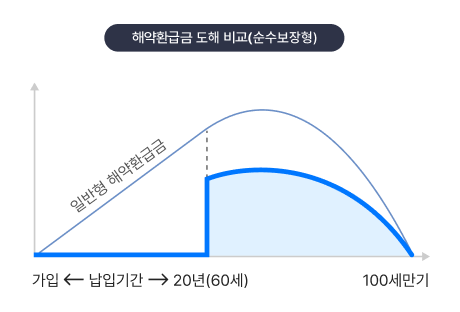 해약환급금 도해 비교(순수보장형)